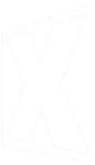 RevisX Education